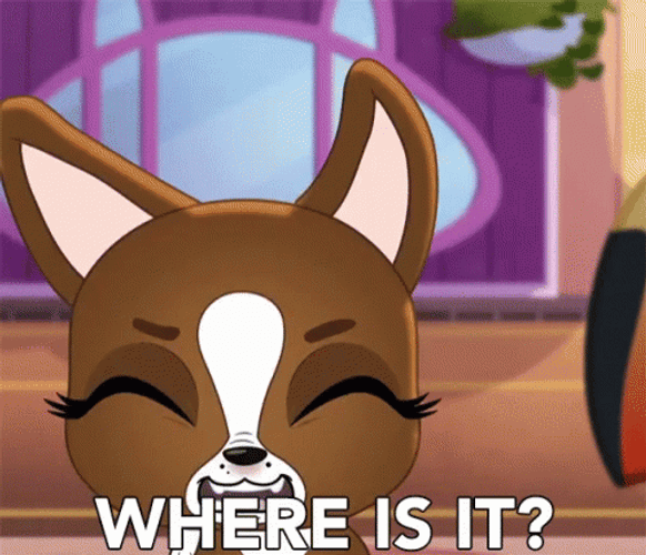 Where Is It Roxie McTerrier GIF