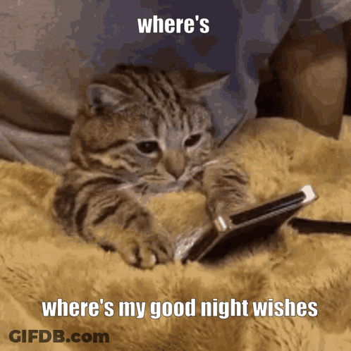 Where Is My Good Night Wishes GIF