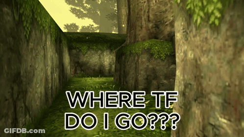 Where TF Do I Go Text GIF