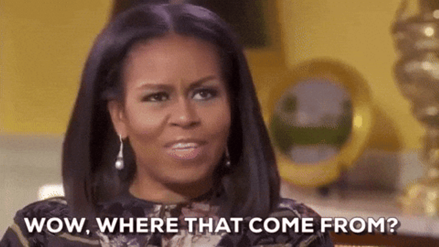 Where That Come From Michelle Obama GIF
