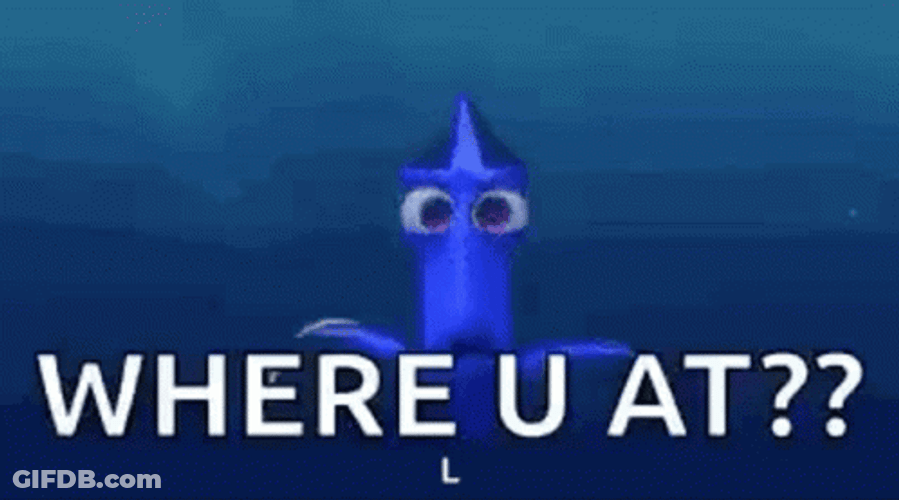 Where You At Big Eyes Dory GIF