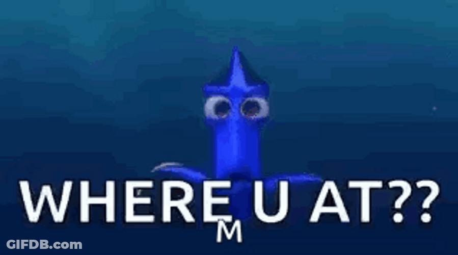 Where You At Dory Finding GIF