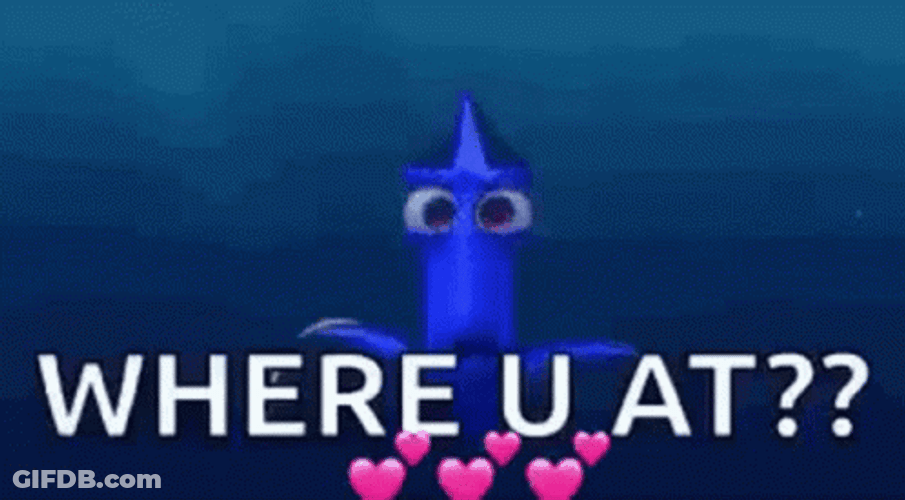 Where You At Dory GIF