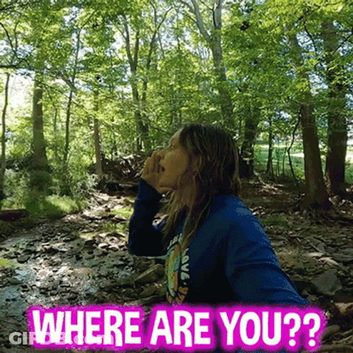 Where You At Finding In The Forest GIF