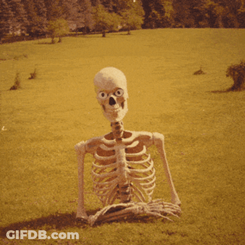 Where You At Skeleton Posing GIF