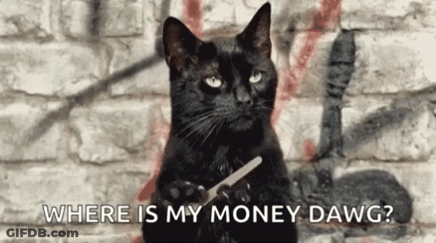 Wheres My Money Black Cat Meme GIF