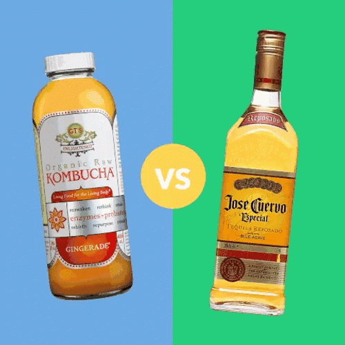Which Kombucha Brand You Like Most GIF