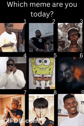 Which Meme Are You Today GIF