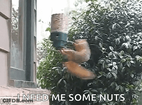 Which Recipe From Whole Chicken GIF