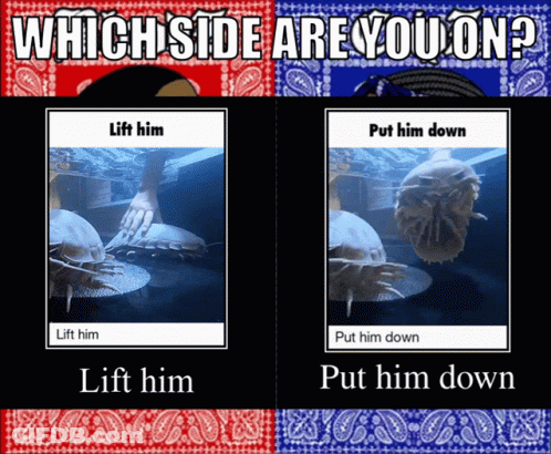 Which Side Are You On Lift Him Put Him Down Lift Him Put Him Down Lift Him Put Him Down GIF