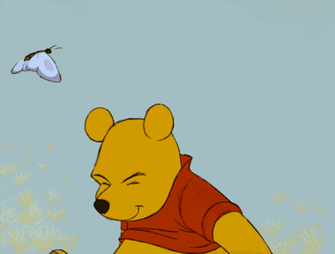 Whinnie Winnie The Pooh GIF