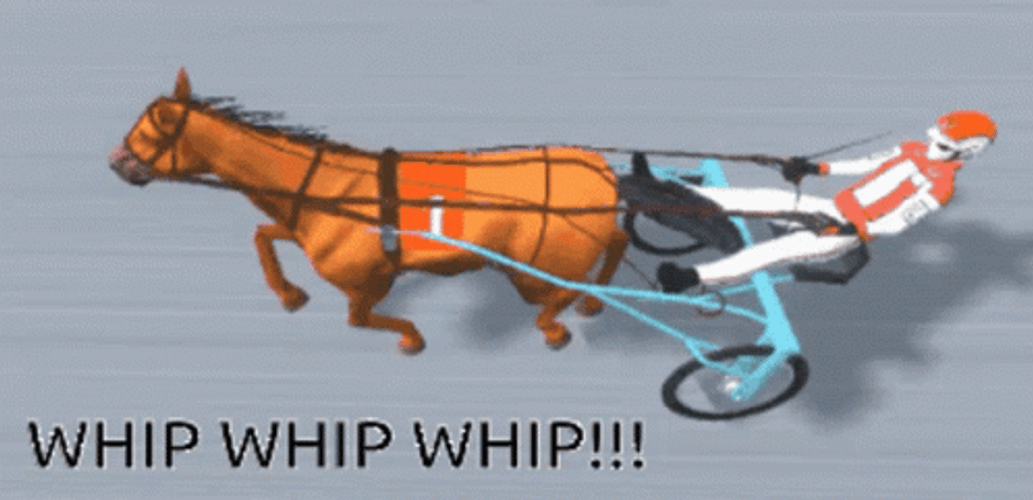 Whip Animated Horse Driving Race Track GIF