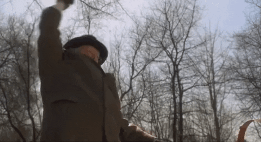 Whip Richard Attenborough Miracle On 34Th Street GIF