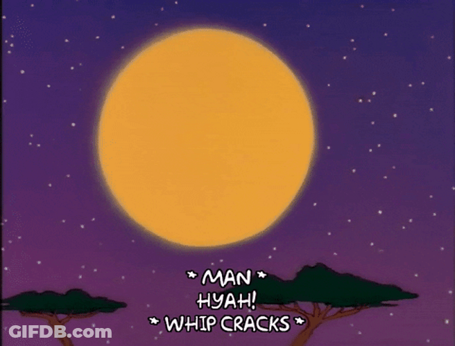 Whips Cracks Crack The Whip GIF