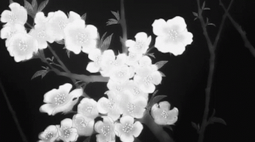 White Aesthetic Glow GIF