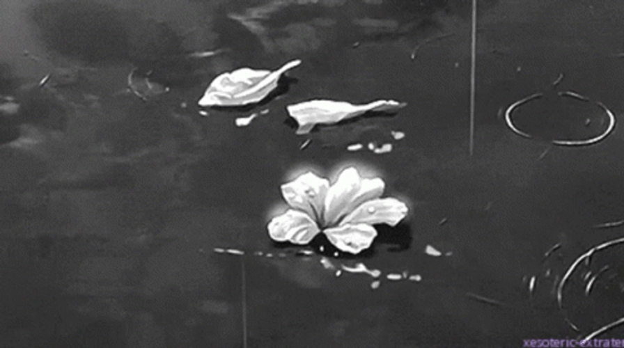 White Aesthetic Rain GIF