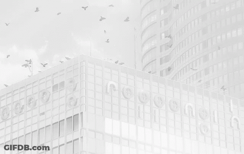 White Aesthetic View GIF