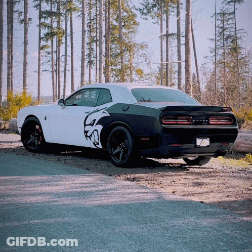 White And Black Dodge Challenger In Woods GIF
