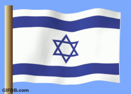 White And Blue Flag With Blue Star GIF