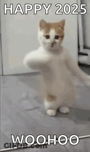 White And Brown Cat Holding Stick GIF