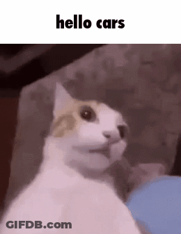 White And Brown Cat Sitting On Couch GIF