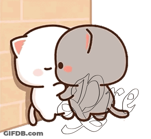 White And Gray Cat With Hire GIF