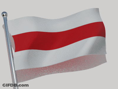 White And Red Flag Waving GIF