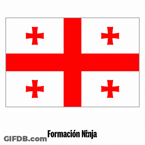 White And Red Flag With Formacion Ninja GIF