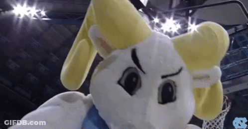 White And Yellow Mascot Standing In Front Of Basketball Hoop GIF