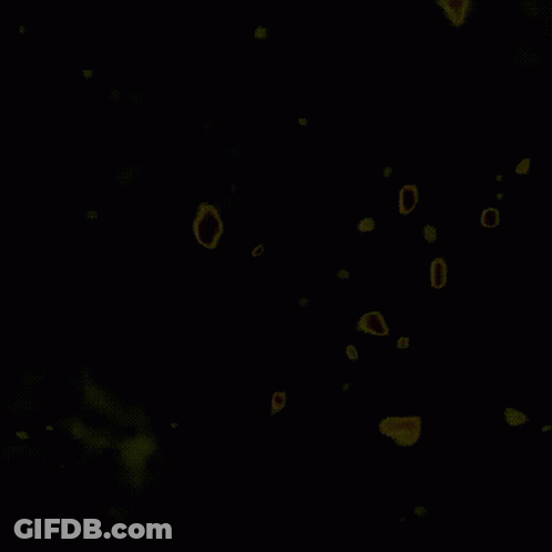 White Background With Black Dots GIF