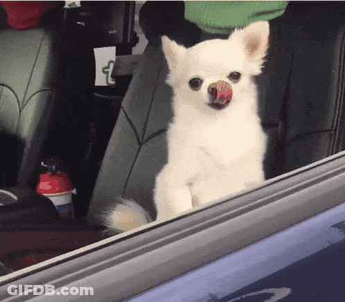 White Bed With Pillows Saying Good Morning Let's Do This GIF