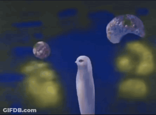 White Bird Flying In Blue Sky GIF