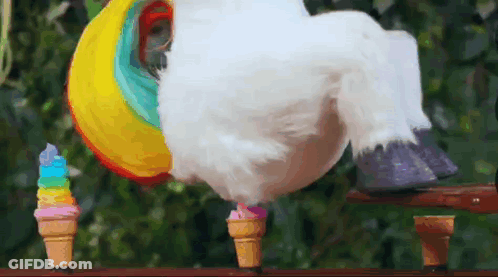 White Bird Next To Ice Cream Cones GIF