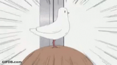 White Bird On Wooden Block GIF