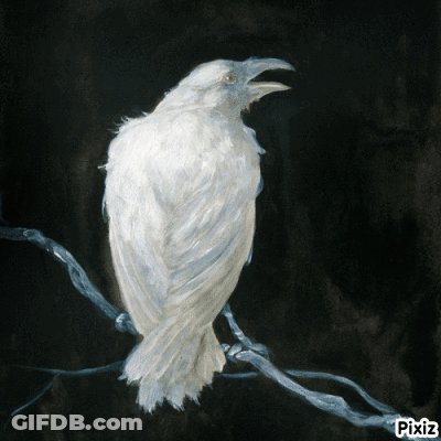 White Bird Painting With Pixiz GIF