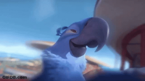 White Bird With Blue Beak Standing On Hind Legs GIF