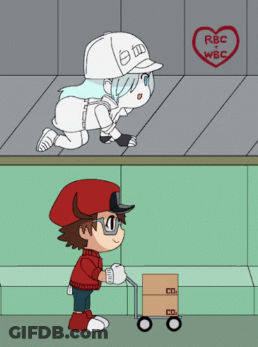 White Blood Cell And Red Blood Cell With Heart Saying RBC + WBC GIF
