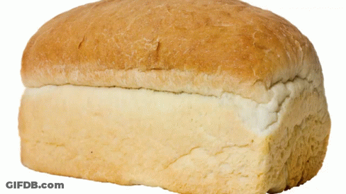 White Bread With White Stripe GIF