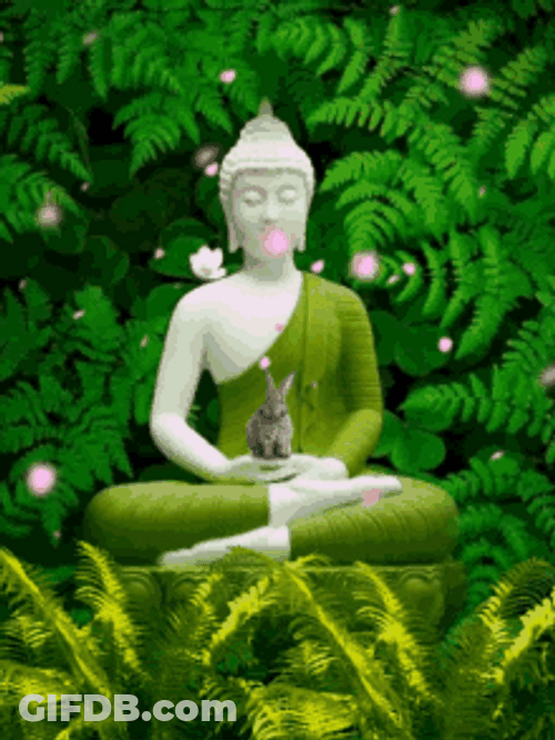 White Buddha Statue Green Nature GIF