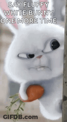 White Bunny Holding Carrot Saying Say Fluffy White Bunny One More Time GIF