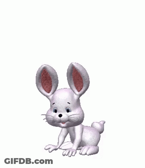 White Bunny Hopping Happily GIF