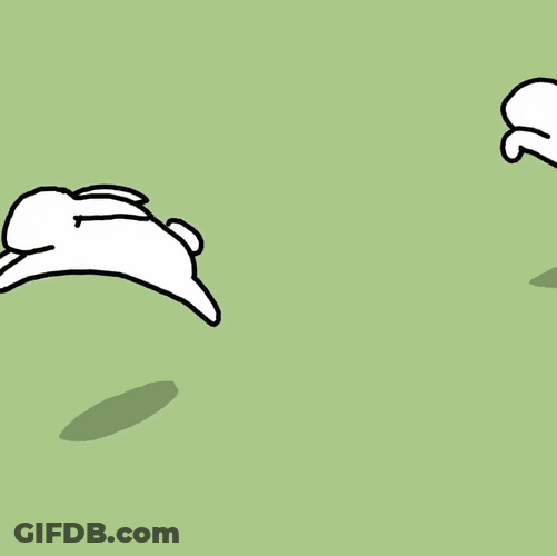 White Bunny Hopping On Loop GIF