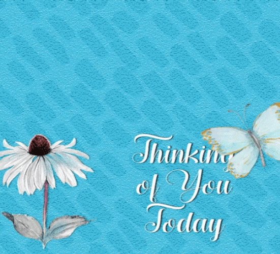 White Butterfly And Flower Thinking Of You Sympathy GIF
