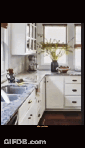White Cabinets Stainless Steel Appliances Plant Picture On Counter GIF