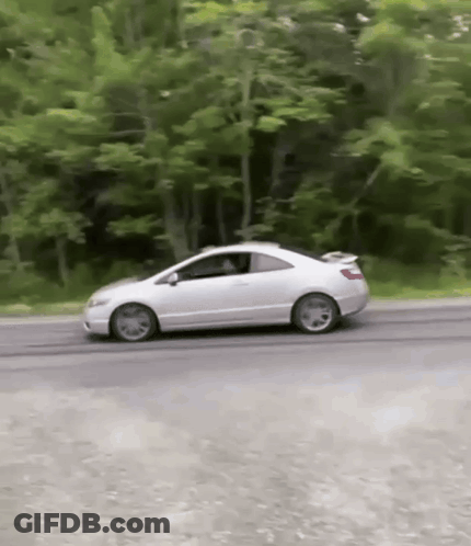White Car Driving Down Road Near Trees GIF