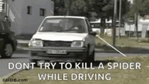 White Car Driving Past Spider GIF