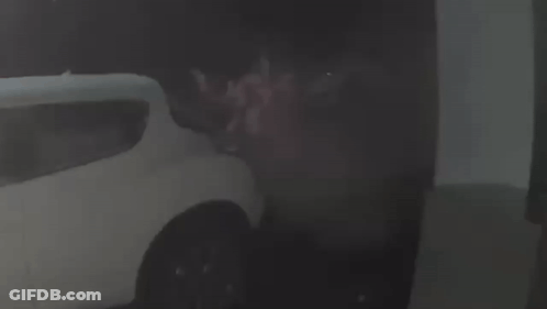 White Car Parked In Dark Room GIF