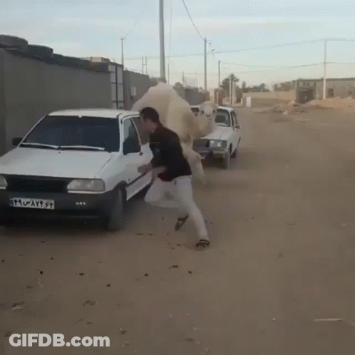 White Car With License Plate Starting TF GIF