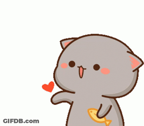 White Cat And Gray Cat On Orange Background GIF