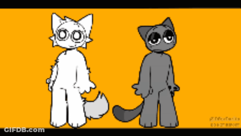 White Cat And Gray Cat Standing Together GIF